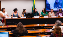 ANDES-SN participa de audiência sobre condições de acesso e trabalho de mulheres na Educação Pública Federal