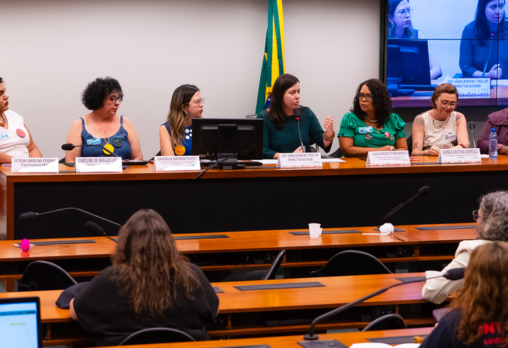 ANDES-SN participa de audiência sobre condições de acesso e trabalho de mulheres na Educação Pública Federal
