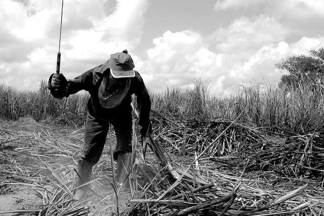 Mudanças nas leis do trabalho rural podem legalizar escravidão no Brasil