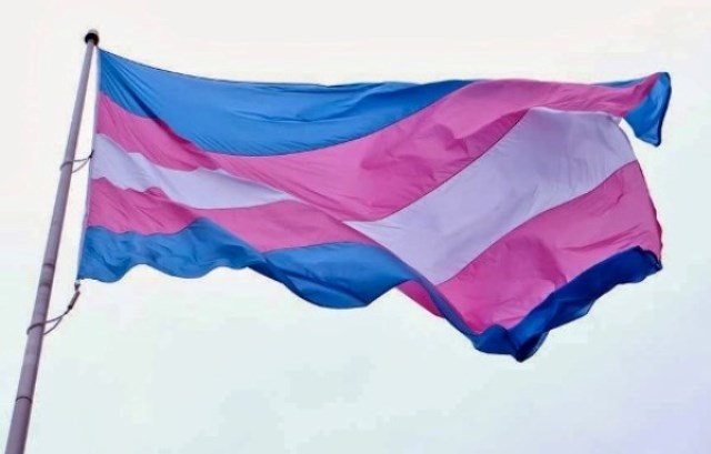 Dia da visibilidade de travestis e transexuais: Adusb em defesa do respeito à identidade de gênero