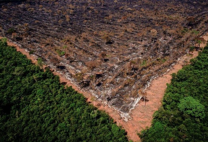 Bolsonaro é denunciado mais uma vez no Tribunal de Haia por destruição da Amazônia